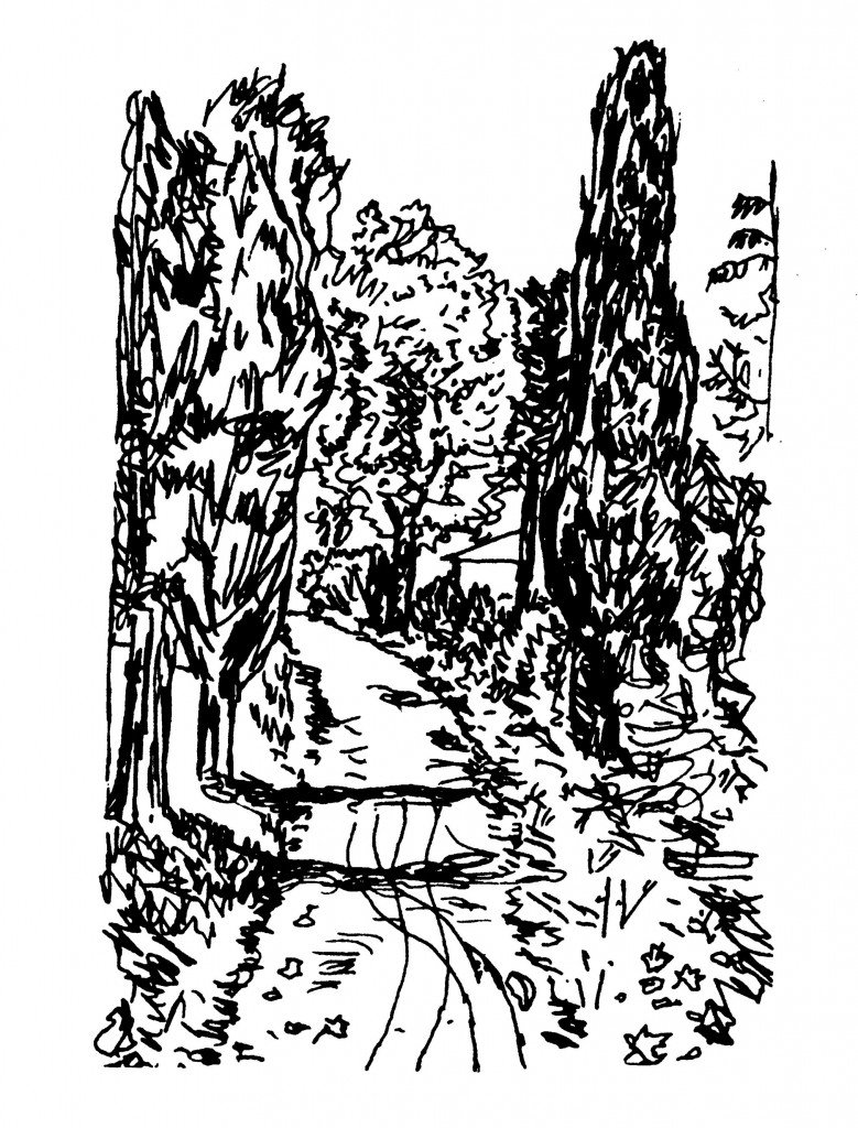 取自《別樣的色彩》