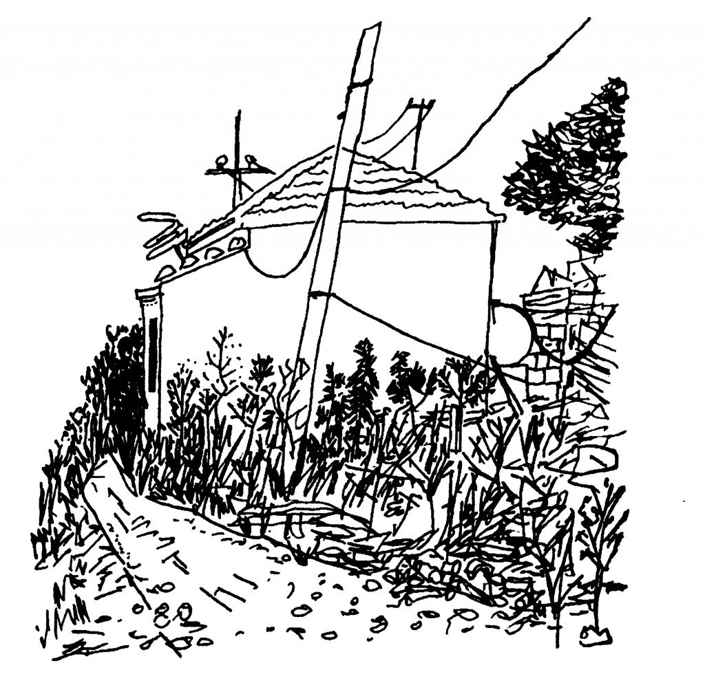 取自《別樣的色彩》