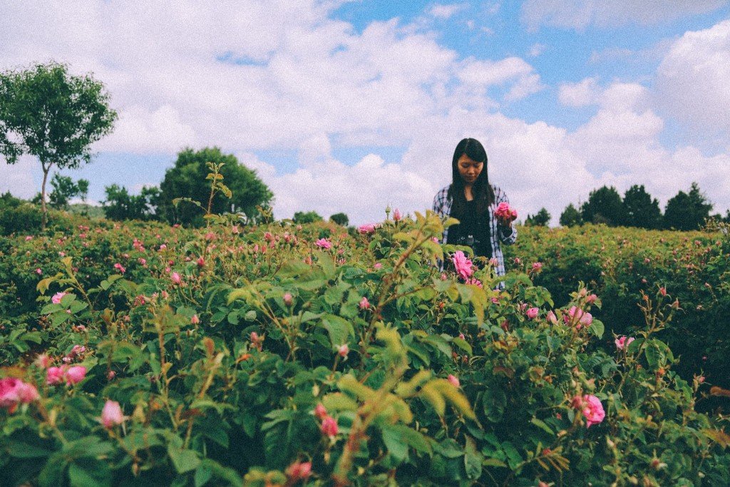 土耳其玫瑰水