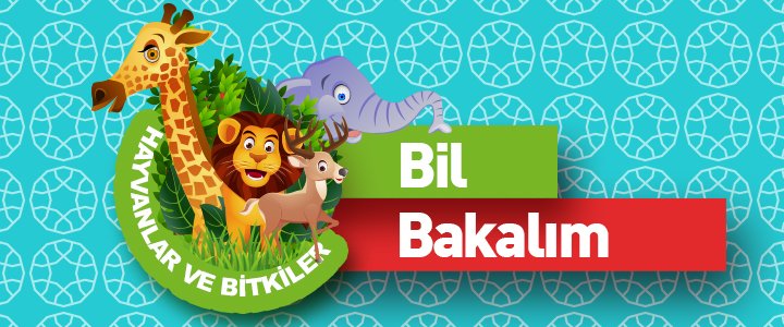 翻攝自官方網站Türkçenin Sesi Radyosu 6-hayvanlar-ve-bitkiler