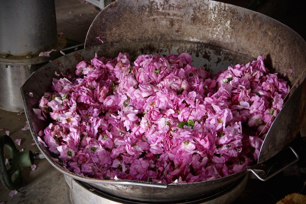 土耳其玫瑰水,土耳其必買,土耳其必買,古爾莎玫瑰水,Gülsha,gulsha,古爾莎玫瑰水,晨露玫瑰,大馬士革玫瑰,保加利亞玫瑰,保濕精華,保濕推薦,清爽化妝水,保濕化妝水,女人我最大玫瑰水,柳燕老師推薦,保濕噴霧,臉部保養,肌膚乾燥,大馬士革玫瑰純露,玫瑰花水